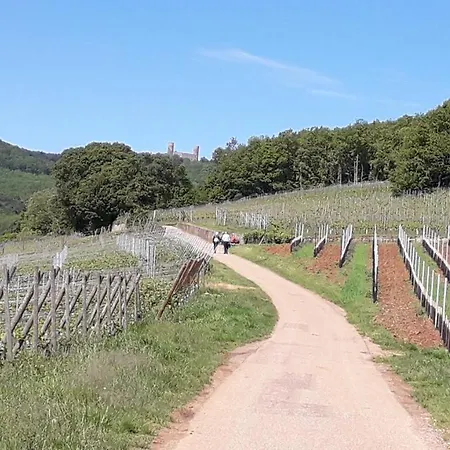 Apartament Au Coeur Des Vignes